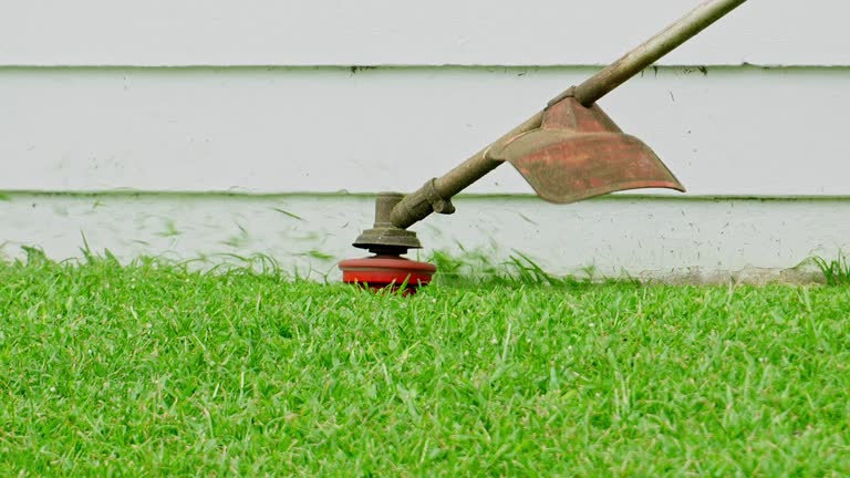 Best Tree Preservation Services  in Crittenden, KY
